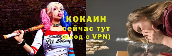 ГАЛЛЮЦИНОГЕННЫЕ ГРИБЫ Касимов