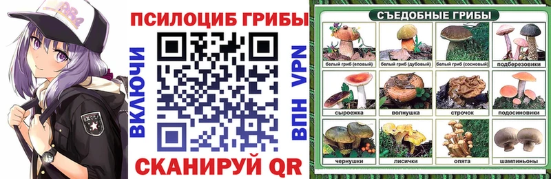 Псилоцибиновые грибы MAGIC MUSHROOMS  Купить закладки  Вытегра 